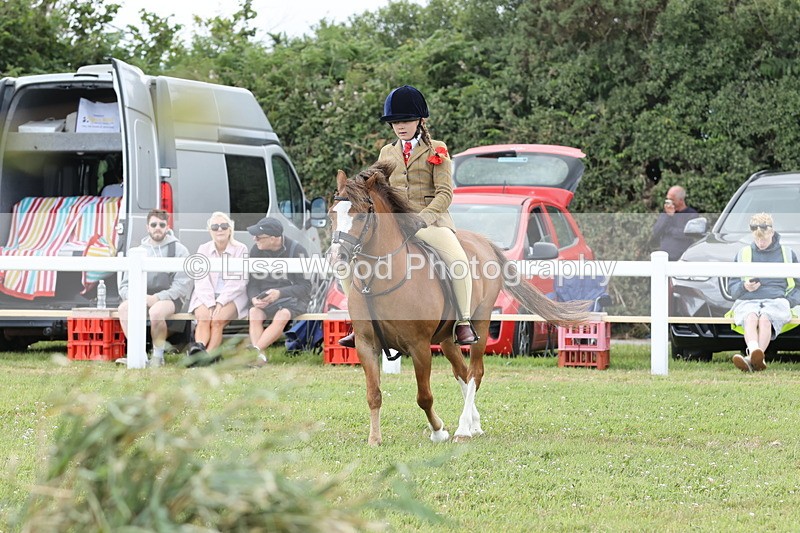 JPP_1927 - Class 18: Tiny Tots Working Hunter Pony