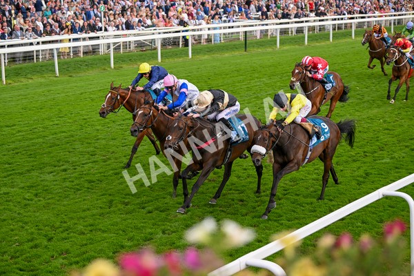 220824-Race 7-Alfa Kellenic-8089 - Race 7 5.20pm British EBF Fillies' Handicap