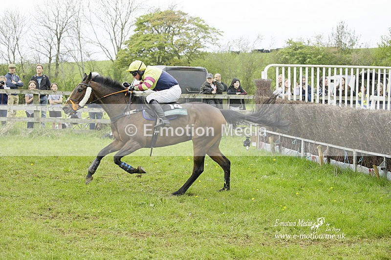PtP 020522 311 - Mollington Races Point-to-Point 02/05/22