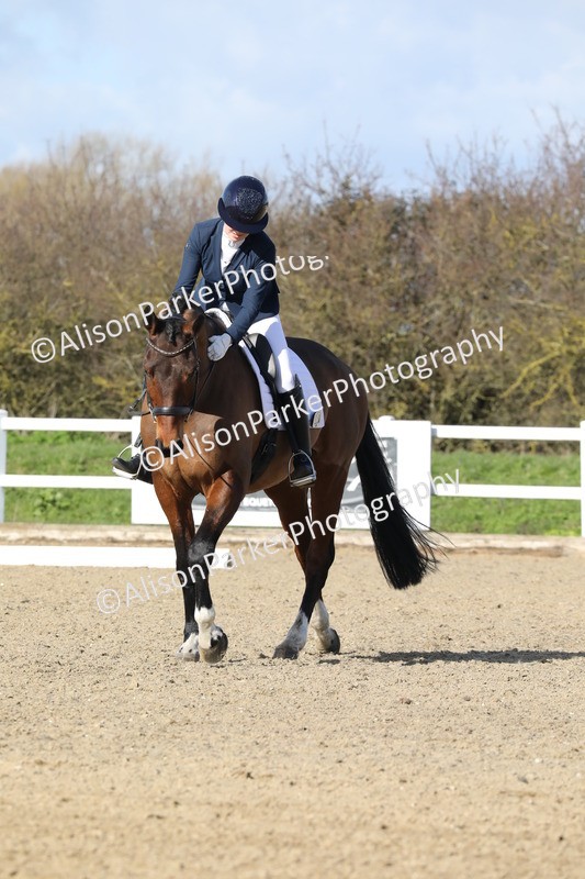 20260314-4947 - CT6 - Elementary 1