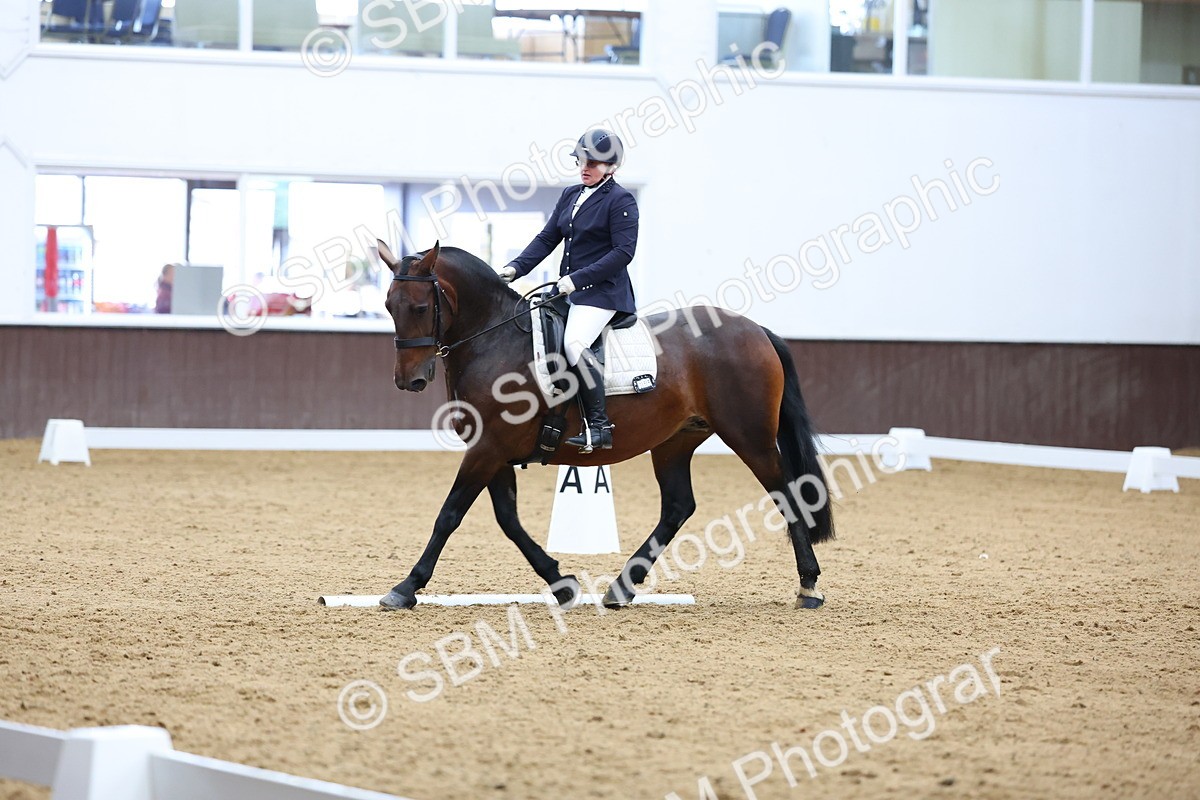 SBM_003940 - Elementary 1