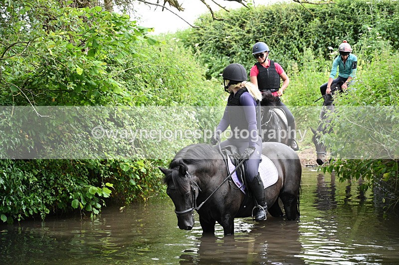 WJ7_2209 - Camera 2 Water Crossing