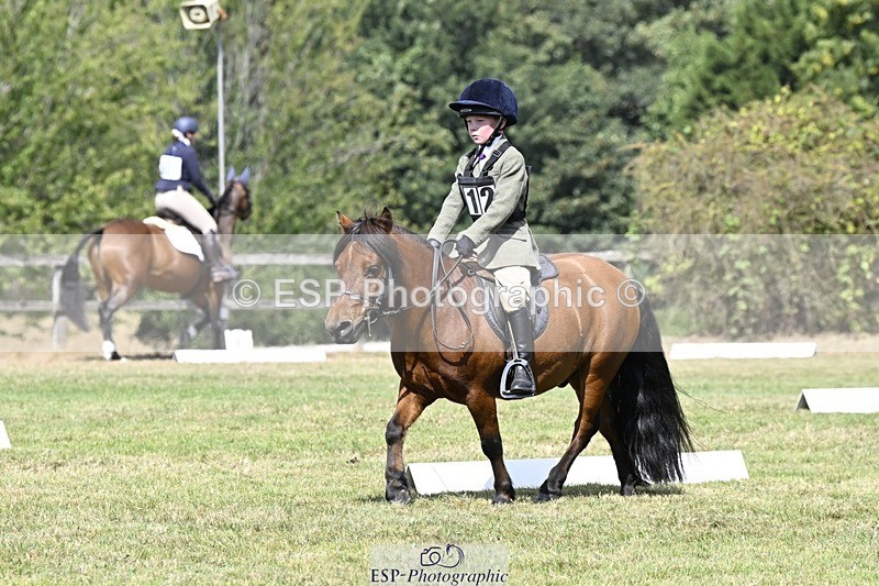 250822A-115820-22494 - DR 11.00 to 12.00