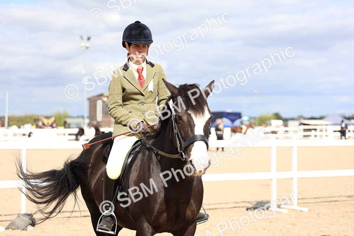 SBM_15847 - Class 314 - Family Horse - Pony