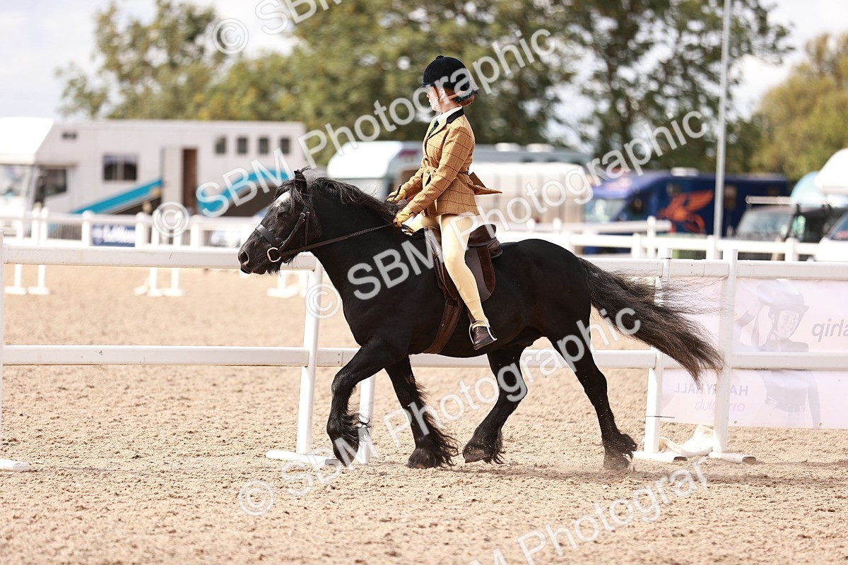 SBM_14270 - Class 408 - Grassroots Ridden -Walk & Trot