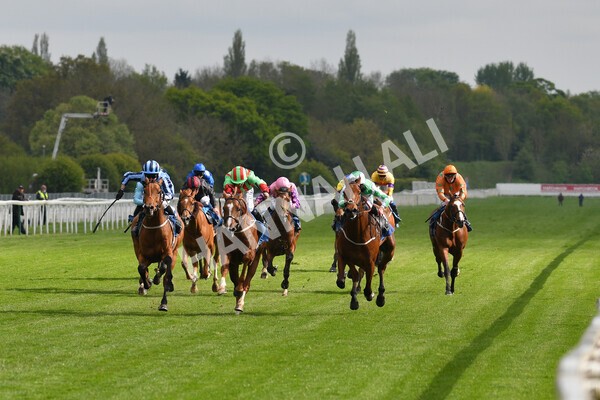 yr14052021r7-17 - Race 7 4.50pm Irish Thoroughbred Marketing Stakes