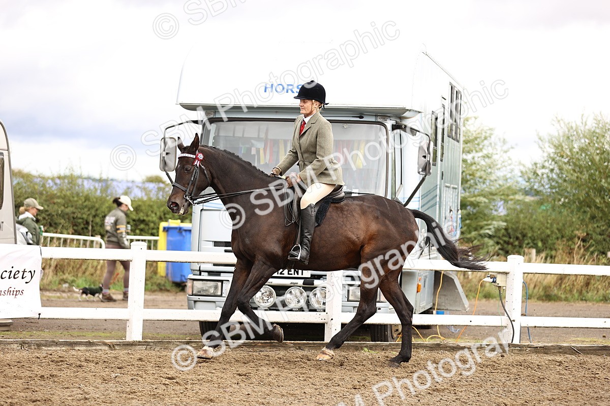 SBM_00603 - Class 53 - Ridden Competition Horse Pony