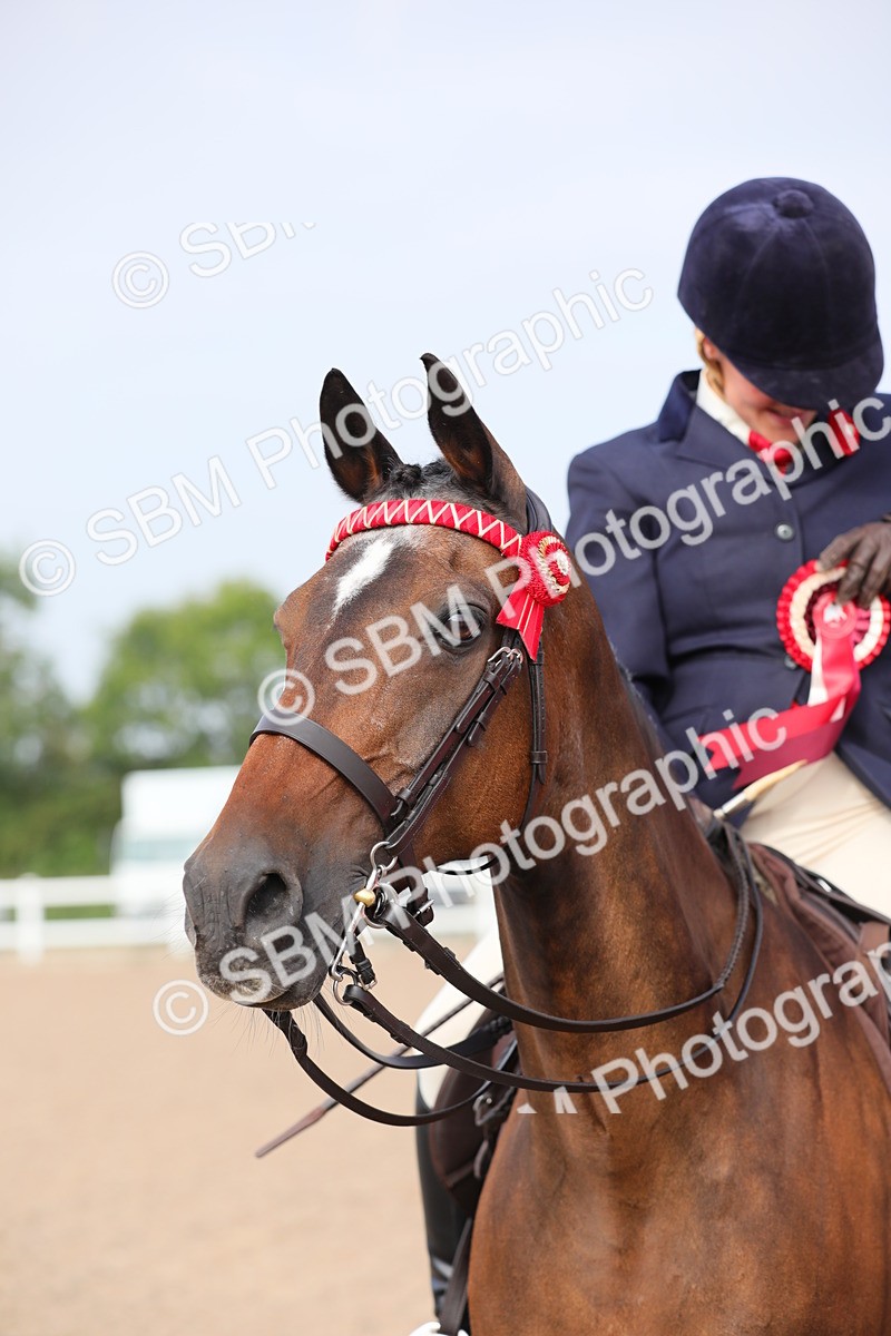 SBM_10721 - Class 303 Ridden Pure Bred Horse/Pony (excl M&M)