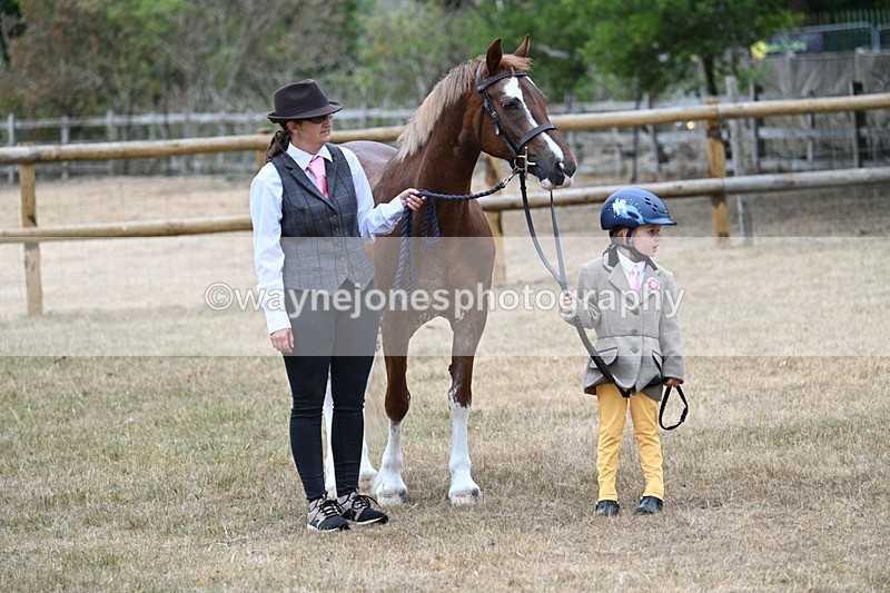 WJ7_8085 - Class 4 Prettiest Mare up to 14.2hh