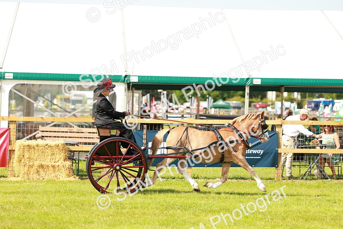 SBM_02548 - Class 2-4 - HOYS Private Driving
