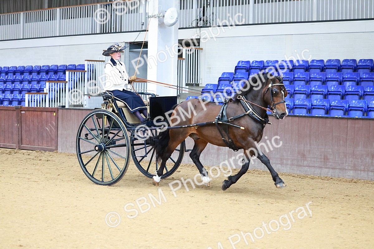 SBM_000111 - Class 3 - Alison Thomas Memorial Lady Whip