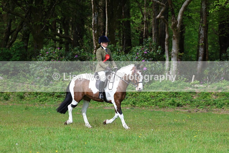 3E7A2629 - Working Hunter Championship