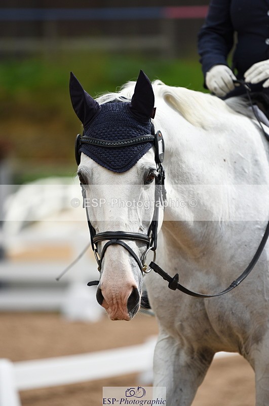 230912A-110630-00508 - Cls 7 Elementary 40