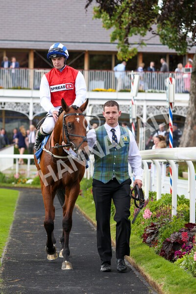 yr10062022r2-32 - Race 2 2.30pm SKF Rous Selling Stakes