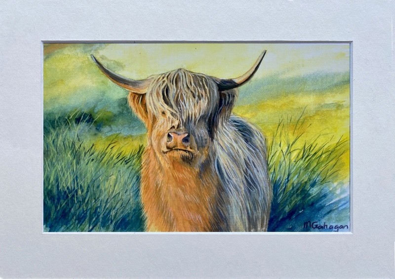 Heilan Coo - Simply Scottish