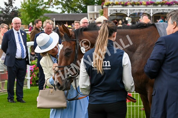 220824-Race 5-Scenic-7336 - Race 5 4.10pm British EBF & Sir Henry Cecil Galtres Stakes
