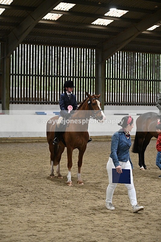 WJ7_4371 - Class 17 Ridden Cob