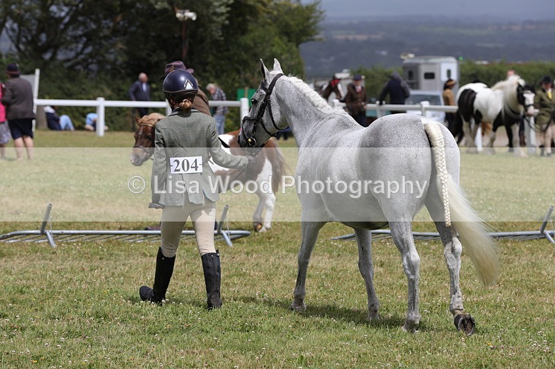 1X9A4942 - Class 35: Veteran In Hand