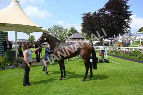 yr10072021r2-33 - Race 2: 2.20pm John Smith's Silver Cup Stakes