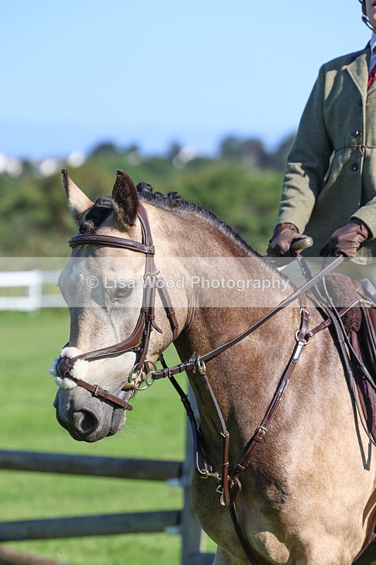 3E7A7727 - Class 2: Open Working Hunter pony