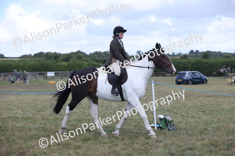 20250831-4207 - Class 20 - Ridden Coloured