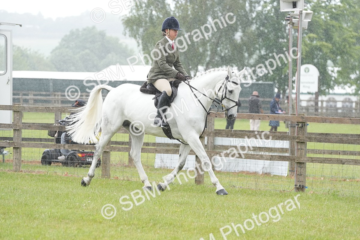 SBM_12639 - Class 97-98 - LIHS BSHA Rising Star Working Show Horse Hunter