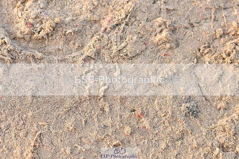 230511A-200727-01998 - UnAff Cls 5 Novice 28