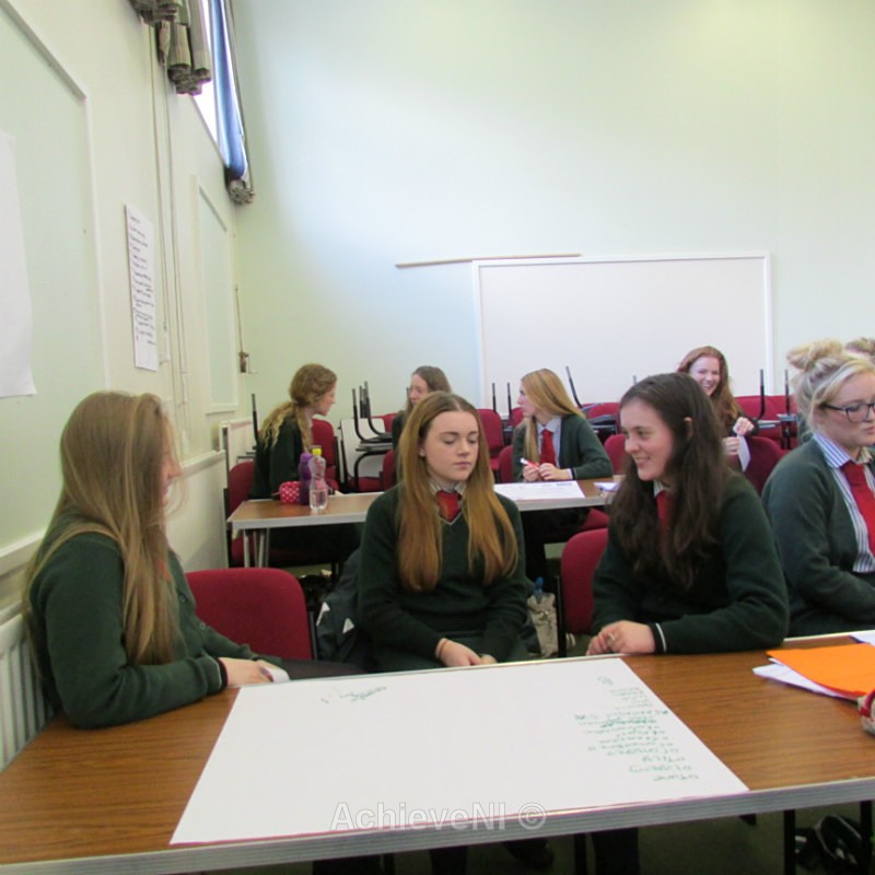  - Peer Mentoring 2014