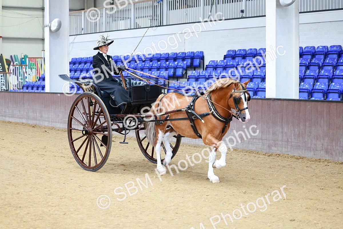 SBM_000057 - Class 1 - Non Hackney Private Drive 13.2hh and Under