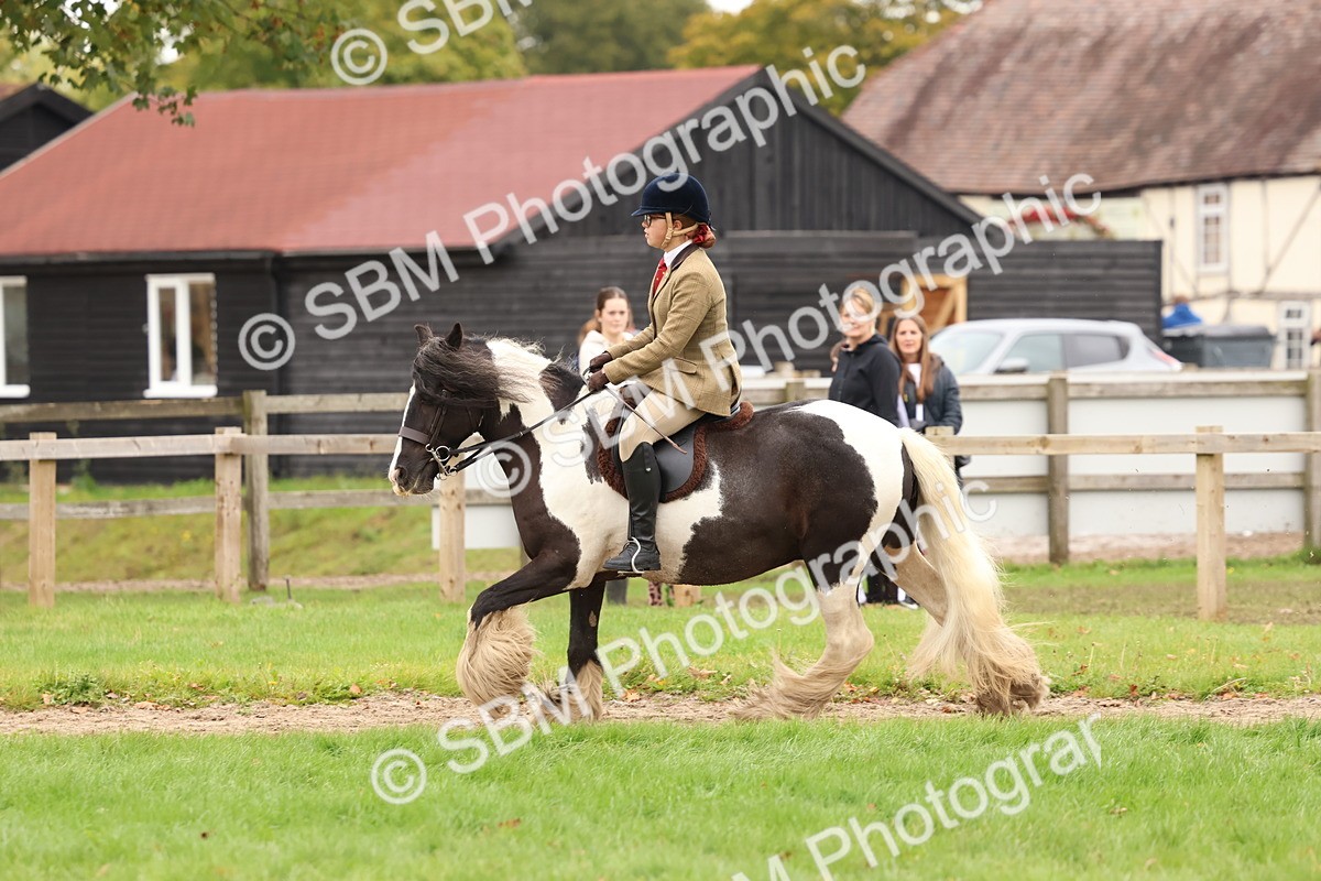 SBM_59974 - S36 - Rehabiliated Rescue Horse & Pony In Hand & Ridden
