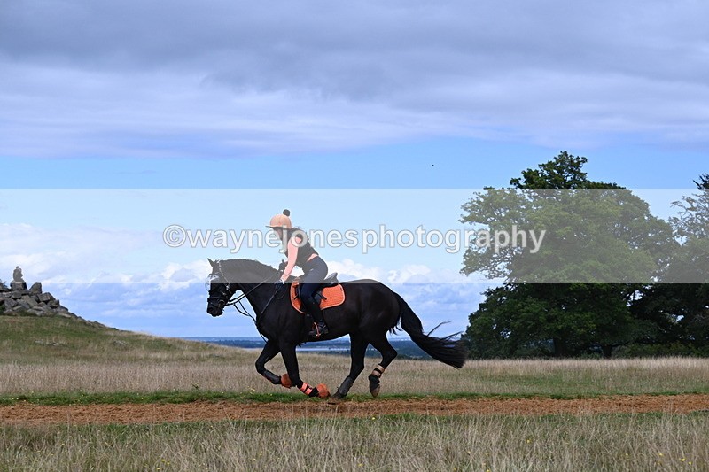 DSC_8844 - Time at Statue 14:33 to 15:10