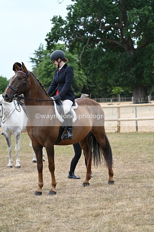 WJ7_0805 - Class 7 Riding Club Show Horse