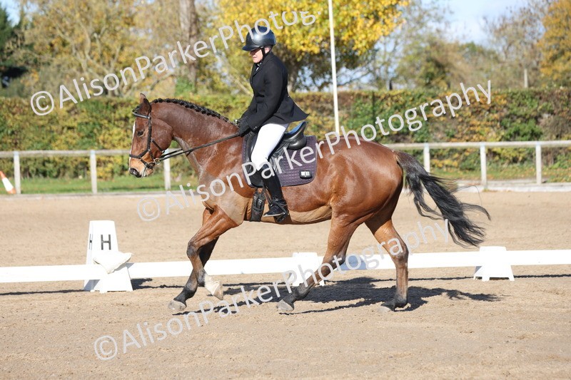 20251102-0921 - Class 5 - Elementary 5