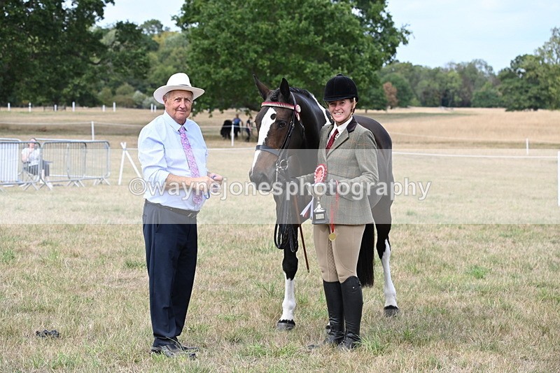 WJ6_6356 - Class 19 In-hand Veterans (Uploaded correct folder)