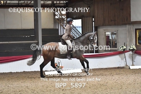 BPP_5897 - 31 Iona Cosh