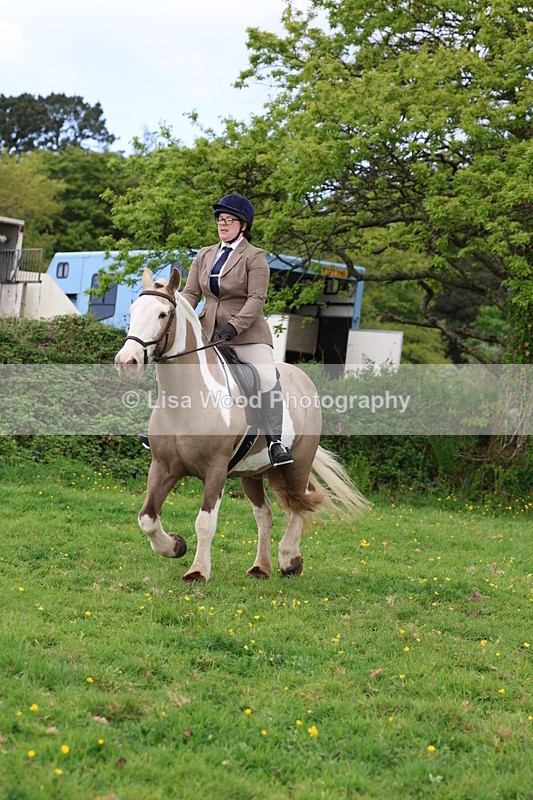 3E7A1477 - Class 8: Ridden Veteran Junoir and Senior