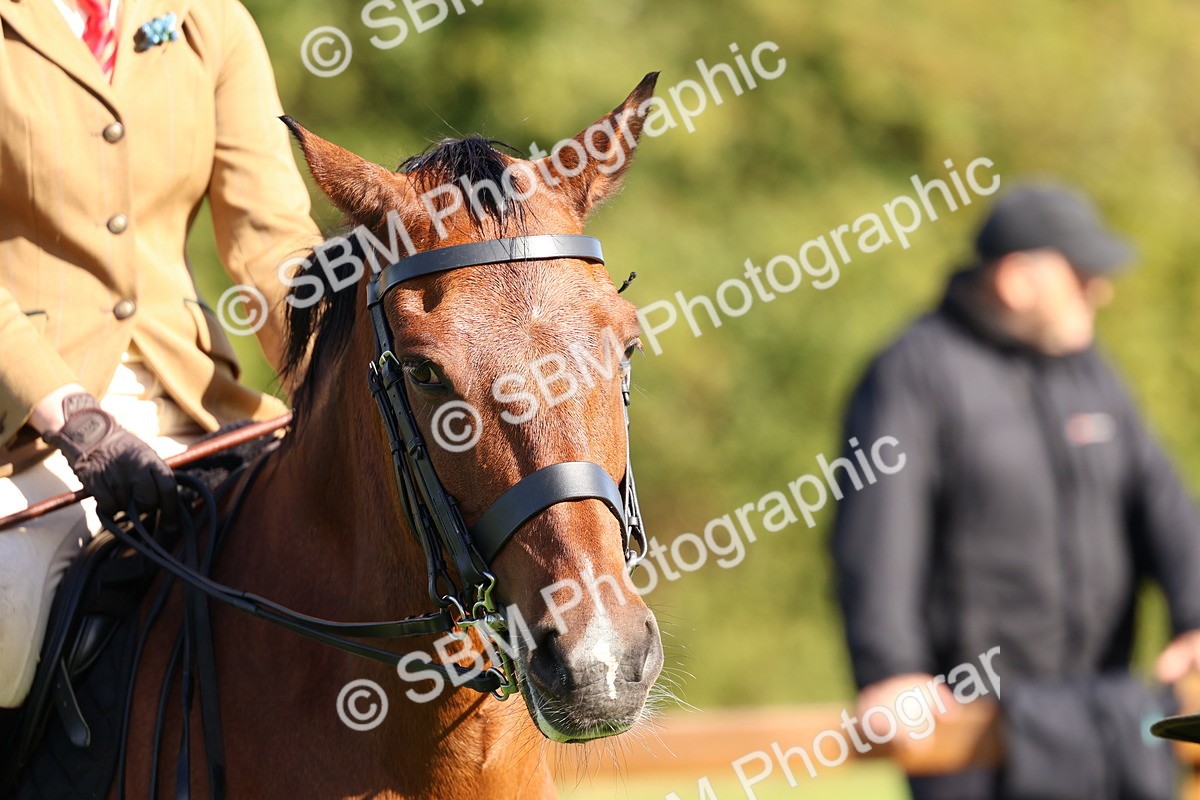 SBM_36923 - S11 - Best Ridden Horse & Pony