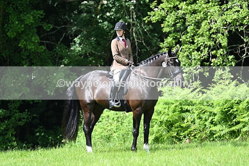 WJ7_1235 - Class 11 Condition & Turnout