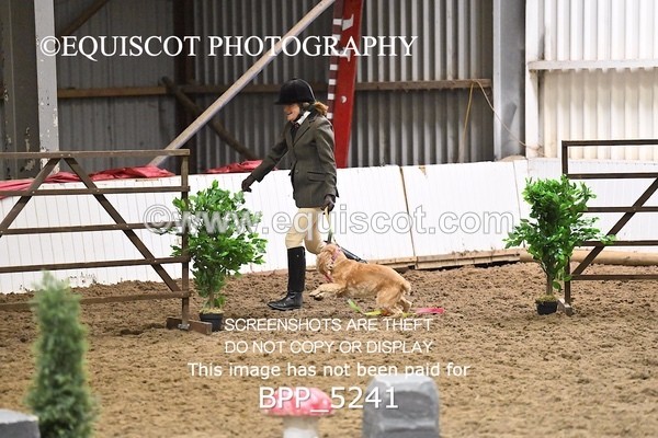BPP_5241 - CLASS 5 HORSE AND HOUND
