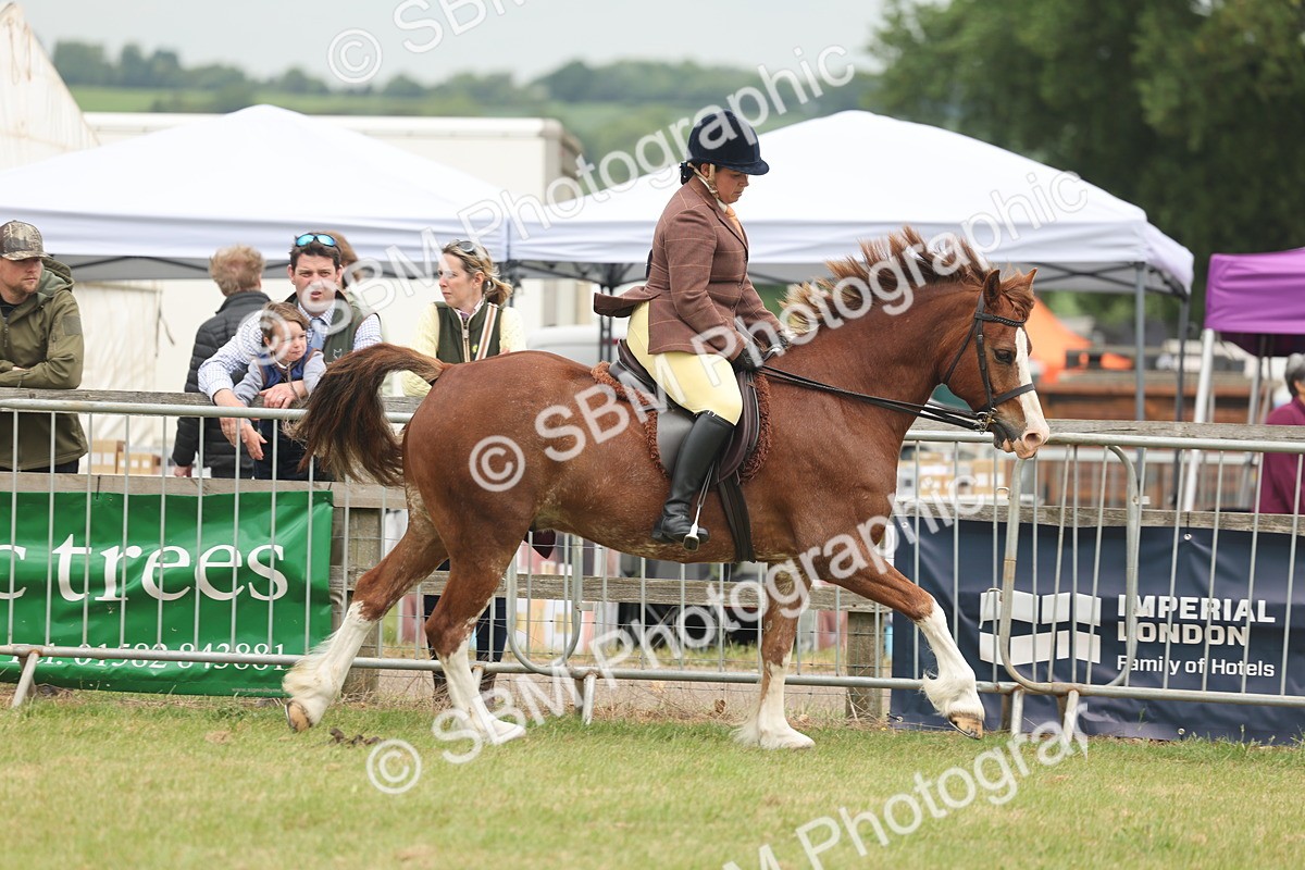 SBM_07184 - Class 76-77 - Ridden M&M Welsh Ponies