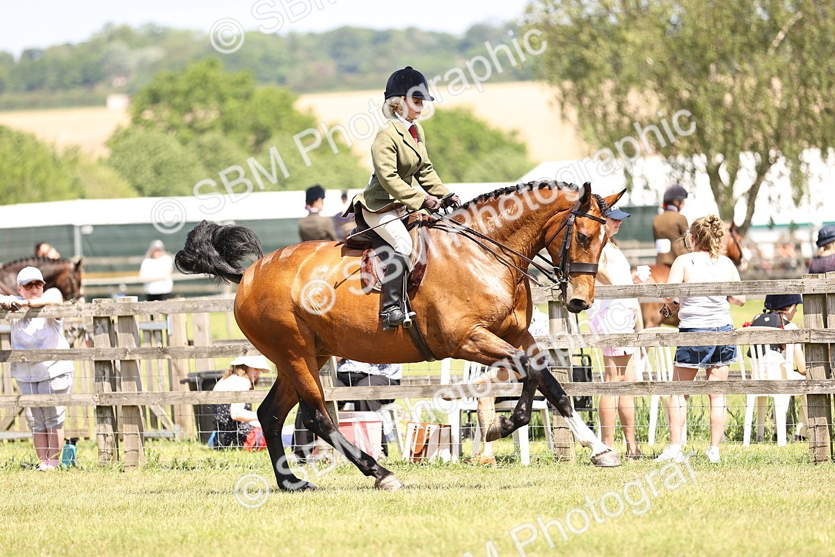 SBM_15176 - Class 79-80 - LIHS BSHA Rising Star Ridden Hunter