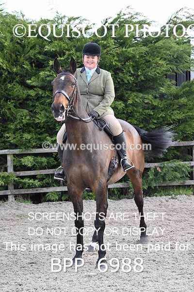 BPP_6988 - RING 1  (RIDDEN HORSES / IN HAND / VETERAN ETC)