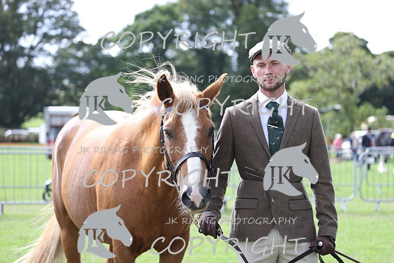 APP_2937 - Class 10a/b M&M in hand