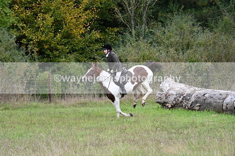 WJ7_3721 - Camera 1 Line 1