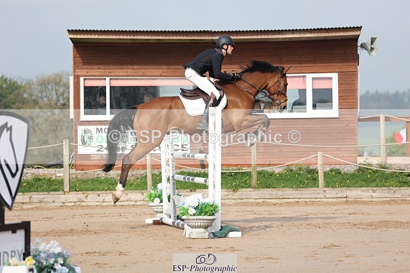 250424-092901-02817 - Cls 29 Young Horse 6yr old