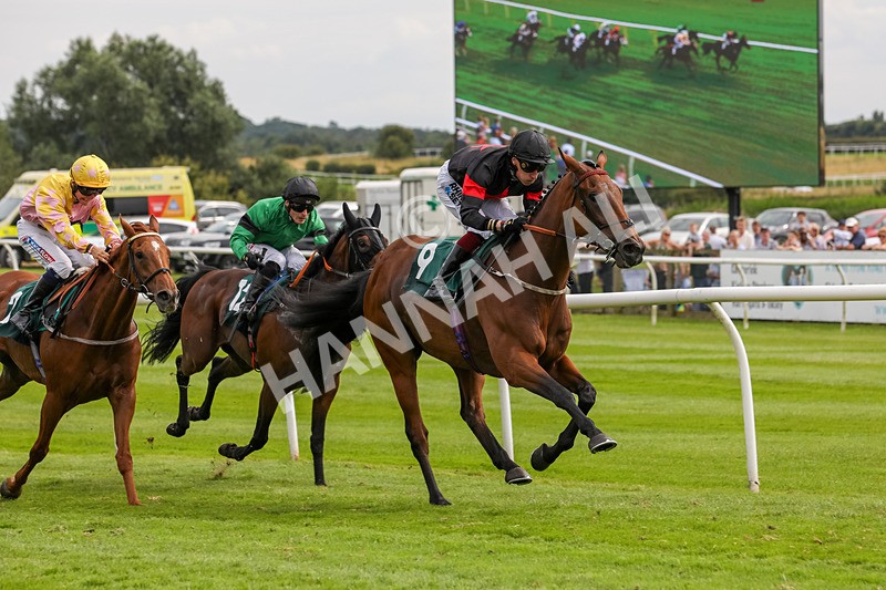 240724-Race 4-Swinging Eddie-3520 - Race 4