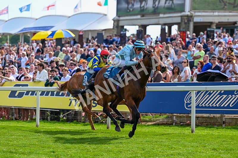 230526-Race 6-Pearl River-7754 - Race 6 16.25pm Royal Yorkshire Regiment Handicap
