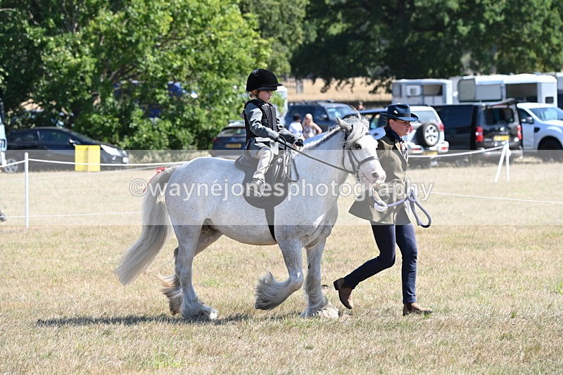 WJ6_7810 - Class 36 Lead Rein
