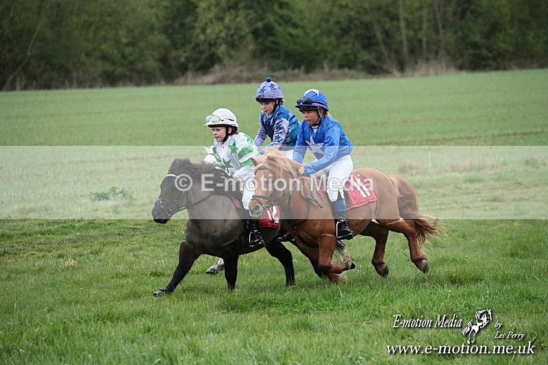 SHETPR 210425 193 - Shetland Ponies Paxford Races 21/04/25