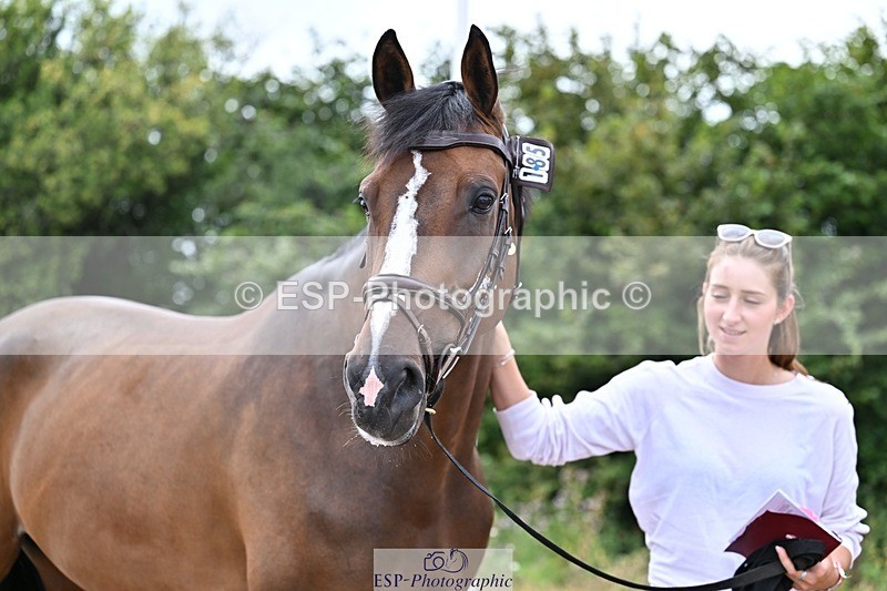 250716-135637-00713 - Trot Up 1.30 to 2.30